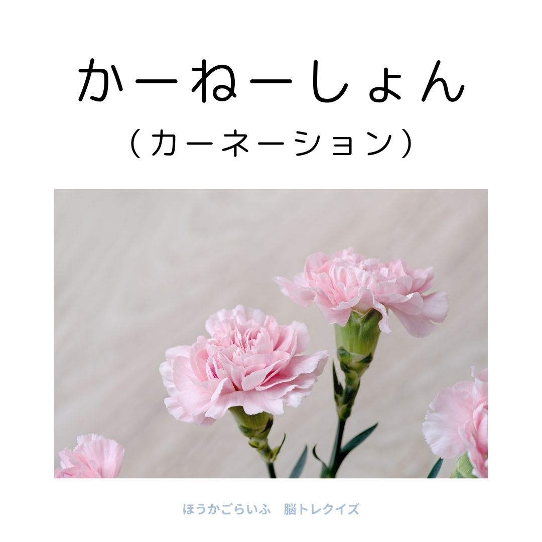 高齢者向け（無料）言葉の並び替えで脳トレしよう！文字（ひらがな）を並び替える簡単なゲーム【花の名前】健康寿命を延ばす鍵